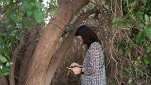 El Ayuntamiento de València y la UPV impulsan la monitorización de la biodiversidad urbana mediante inteligencia artificial
